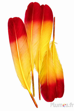 Schwan Seide - 25-30 cm - gelb-rot